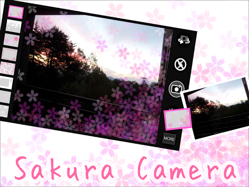 Sakura Camera 桜 Camera