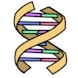DNA Easy
