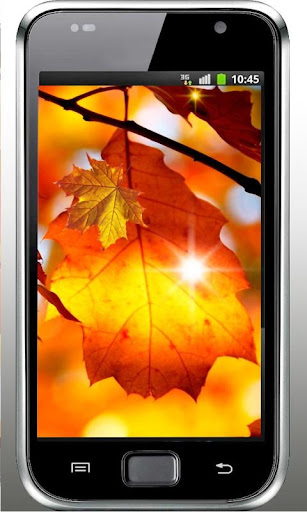 Autumn Leaf live wallpaper