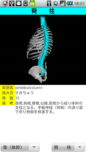 比較解剖學 - 國立成功大學- 課程地圖