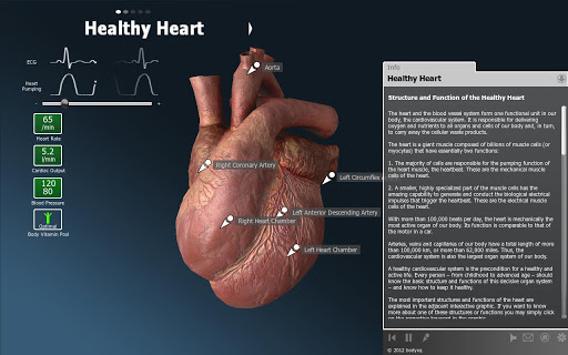 【免費健康App】bodyxq heart-APP點子