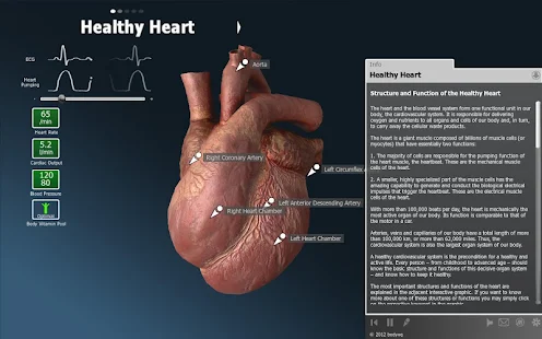   bodyxq heart- screenshot thumbnail   