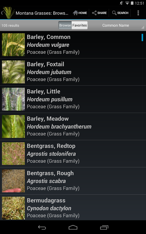 Montana Grasses Android Apps on Google Play