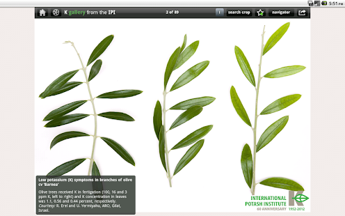 K gallery Screenshots 5