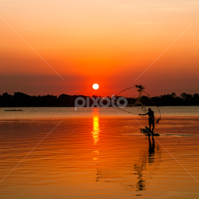 by Tri Kurniawan - Landscapes Sunsets & Sunrises