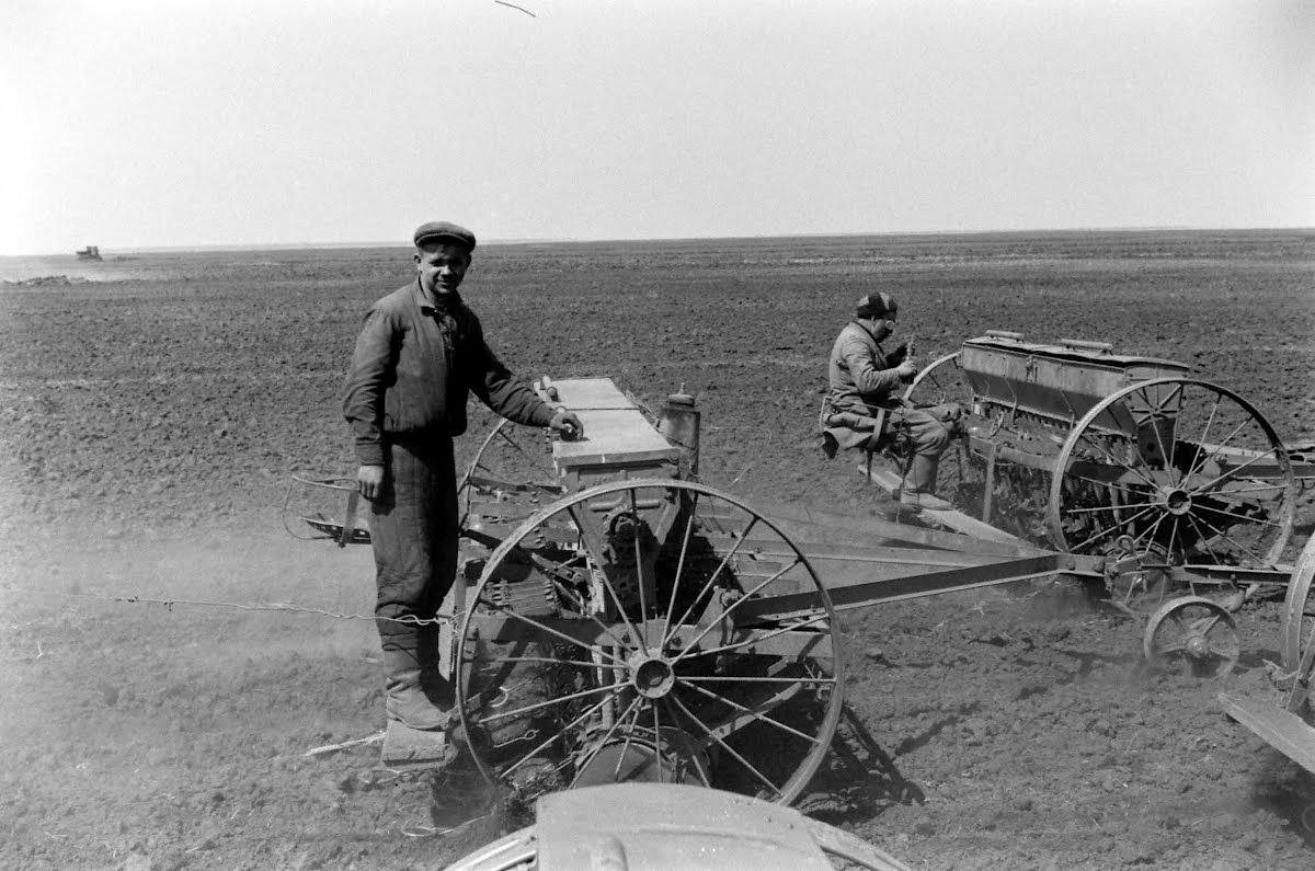 Soviet Union Virgin Lands "Breadbasket" Story Filmed In Area Of