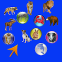 Angry Animal Bubble Shooter logo