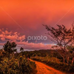 Orange to much Orange by Nadia De La Rosa - Landscapes Sunsets & Sunrises