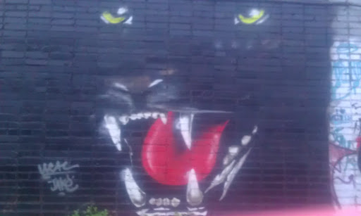 Граффити Пантера