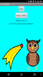 Lastest Owl Chase APK for Android
