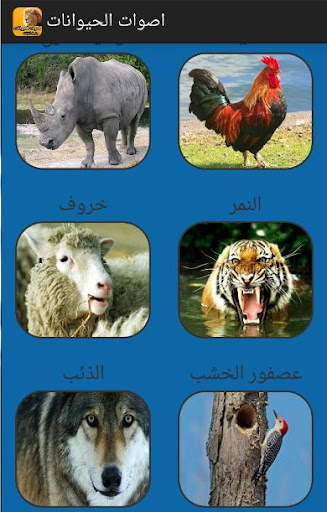 【免費媒體與影片App】اصوات الحيوانات بدون انترنت-APP點子