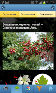 Lastest EcoGuide: Trees in Summer APK for PC