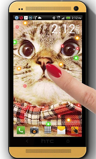 【免費個人化App】Cat Big Eyes HD LWP-APP點子