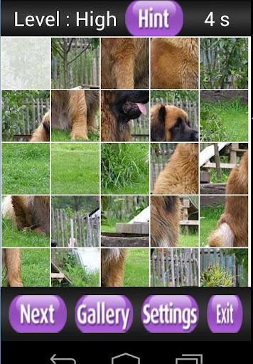 【免費解謎App】Leonberger Kids Games-APP點子