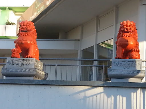 The Two Lions