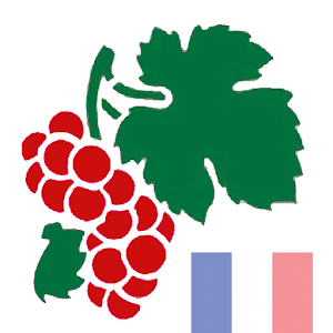 Weinlexikon Frankreich