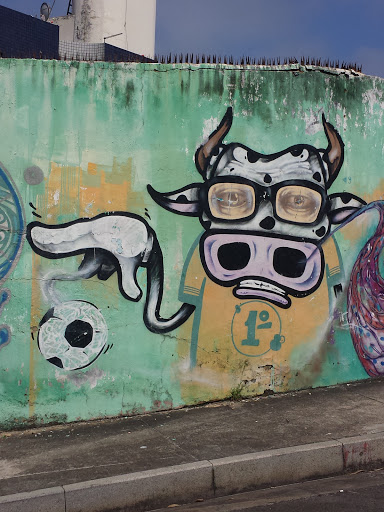 Vaca Brasil 1st
