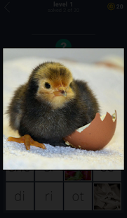 Lastest 20 Clues APK