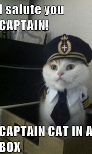Cat Salute Live Wallpaper Screenshots 0