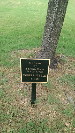 Robert Steele