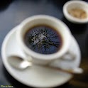 lovepoem’s photograph logo