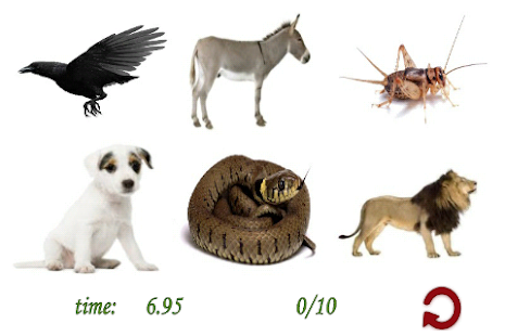 Guess the Animal - screenshot thumbnail