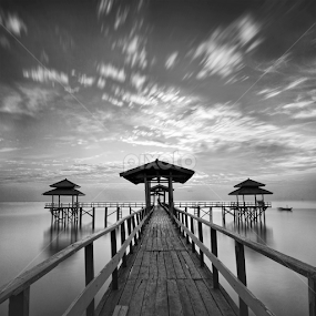 by Van Condix - Black & White Landscapes