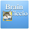 ciccio brain - the old head