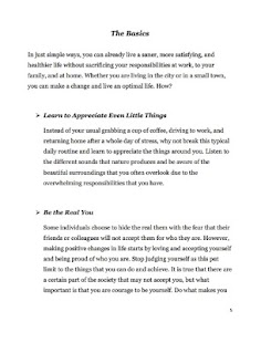 Optimal Optimization Screenshots 3