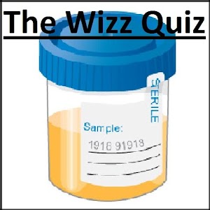 Wizz Quiz.apk 0.5.62