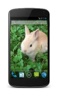 How to mod Bunny Free Video Wallpaper patch 1.4 apk for bluestacks