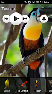 How to install Bird Sounds - Ringtones 1.4 unlimited apk for bluestacks