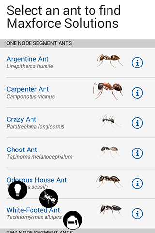 免費下載商業APP|Bayer Maxforce Ant Solutions app開箱文|APP開箱王