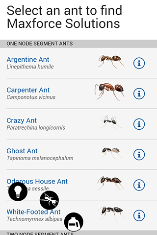 【免費商業App】Bayer Maxforce Ant Solutions-APP點子