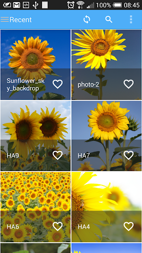 Sunflower Wallpaper 2015