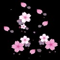 3D cherry blossom 5 logo