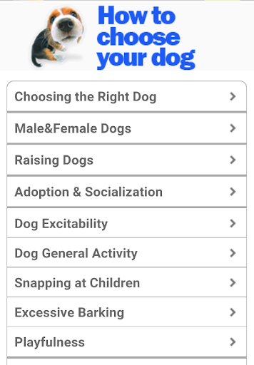 Choose Dog