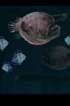 深海の魚たちライブ壁紙 Full版 Androidアプリ Applion