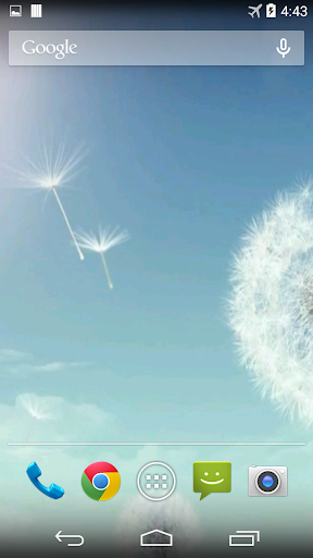 Dandelion Video Live Wallpaper