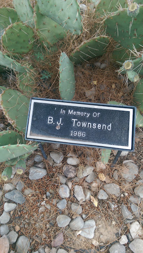 Townsend MemorialTtree