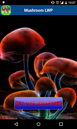 Mushroom Live Wallpaper