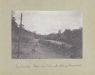 Spooraanleg - Baan van Dam uit richting Paramaribo