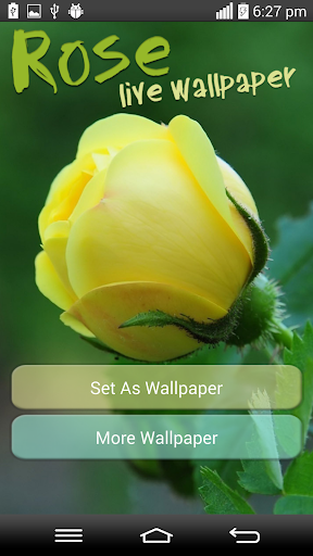 Rose Live Wallpaper