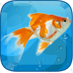 Cover Image of डाउनलोड AquaLife 3D 1.0 APK