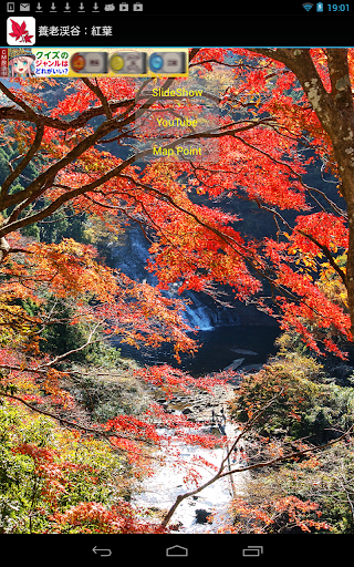 Autumnal leaves Yoro Valley