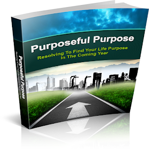 Purposeful Purpose 1.0