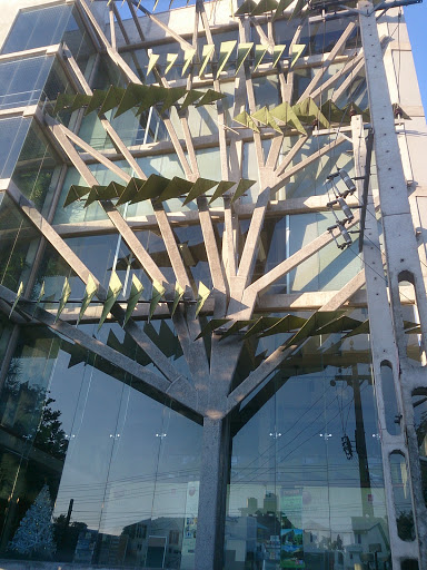 Concrete Tree Artwork 