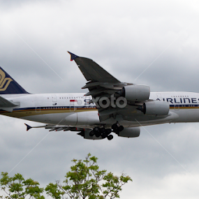 SIA A380 by Dunstan Vavasour - Transportation Airplanes