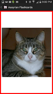 Download Assyrian Flashcards APK