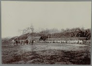 Paardenstal met sapi's te Krueng Seumpo